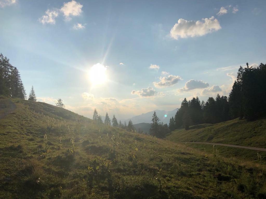 Haus Schlager "Dasappartement" Annaberg im Lammertal Exteriér fotografie